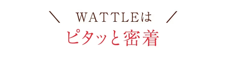 wattle_ピタッと密着